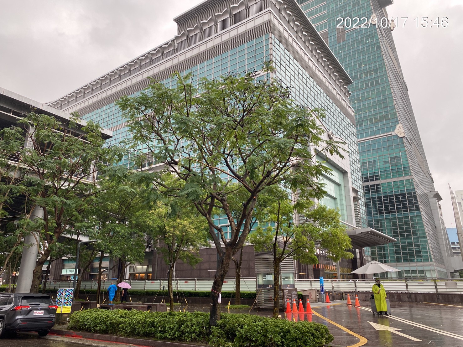 公燈處路樹樹木修剪